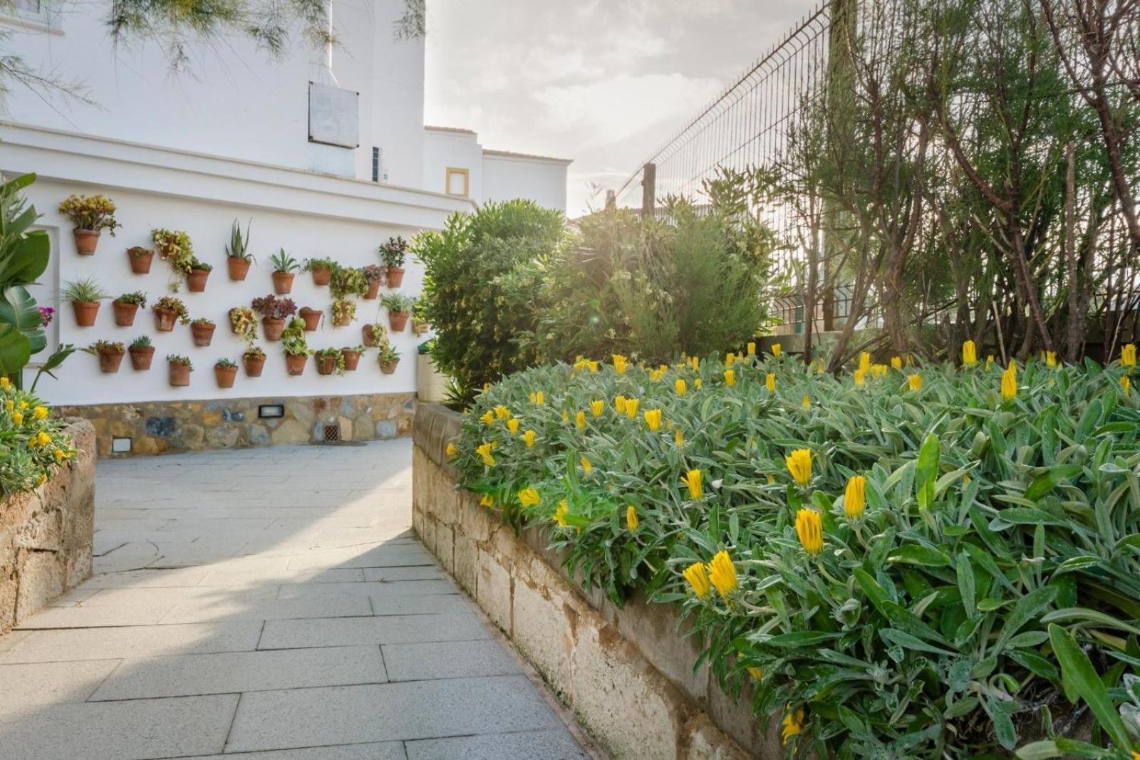 Apartamentos Blancala Кала Бланка Екстериор снимка